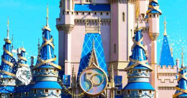 Don’t Let Eczema Ruin Your Vacation: Strategies for Caring for Your Skin While Traveling New Magical Experiences Await Guests During Disney World’s 50th Anniversary Celebrations