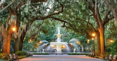 It Looks Like January 6th Capitol Protestors Are Being Added To TSA Watch Lists 16 Fun Things To Do In Savannah, GA