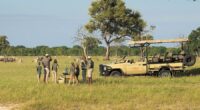 Top Walking Holidays in England for Your 2024 Bucket List 2 Weeks In Botswana Itinerary