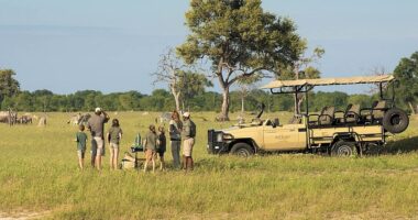 Top Reasons to Rent a Car if You Are Traveling in Spain 2 Weeks In Botswana Itinerary