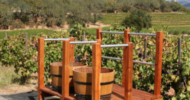 The Wait is Almost Over! 8 Tips For Visiting A Brewery in Sedona For The First Time