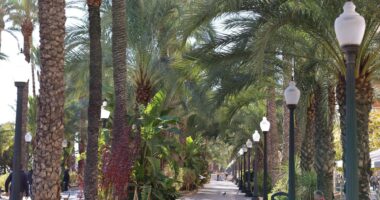 TruTravels Expands Into US With New Experiences Top Reasons to Rent a Car if You Are Traveling in Spain