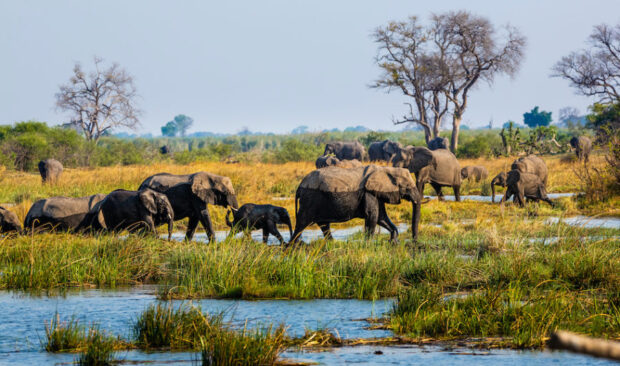 Ideal African Safari Three Weeks Itinerary Ideal African Safari Three Weeks Itinerary