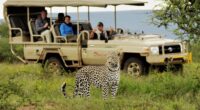 Ideal African Safari Three Weeks Itinerary