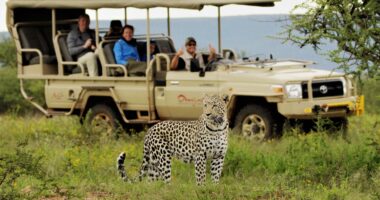 4 Things to Keep in Mind When Traveling to Toronto Ideal African Safari Three Weeks Itinerary