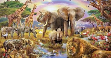 Dining is a Big Thing! Africa Big Five: Unveiling the Icons of the Wildernes
