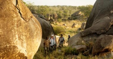 Where to Stay in Cape May 2024 – Best Areas for First Timers Exploring Africa Breathtaking National Parks and Reserves