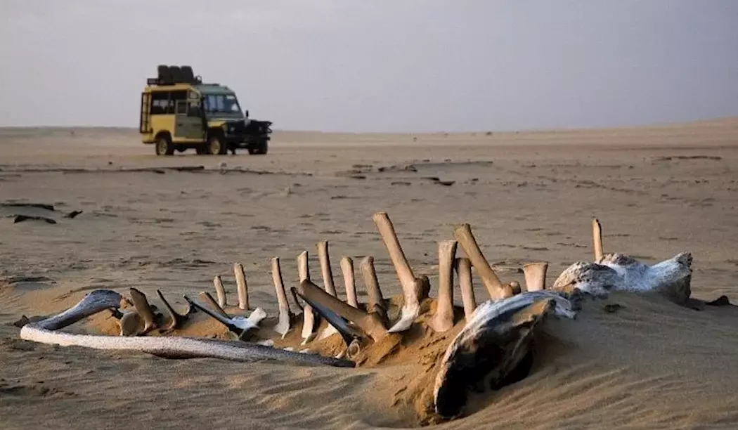 Namibian Landscape - Skeleton Coast