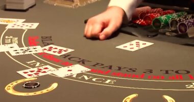 Turning Your Horse Farm into a Tourist Attraction – How Keep Horses Healthy How Casinos Use Math to Tilt the Odds in Their Favor