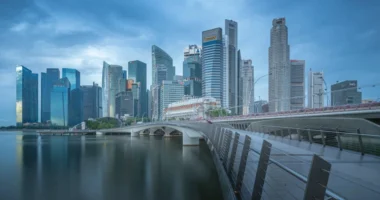 Hotel Mold – How to Detect It and What to Do if You Find It Living in Singapore: From Public Transport to Dining Out – What to Expect