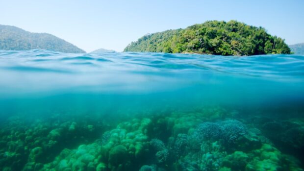 Things to Do in Khao Lak and Phuket: A Family Guide to Culture, Markets, & Adventure Things to Do in Khao Lak and Phuket: A Family Guide to Culture, Markets, & Adventure